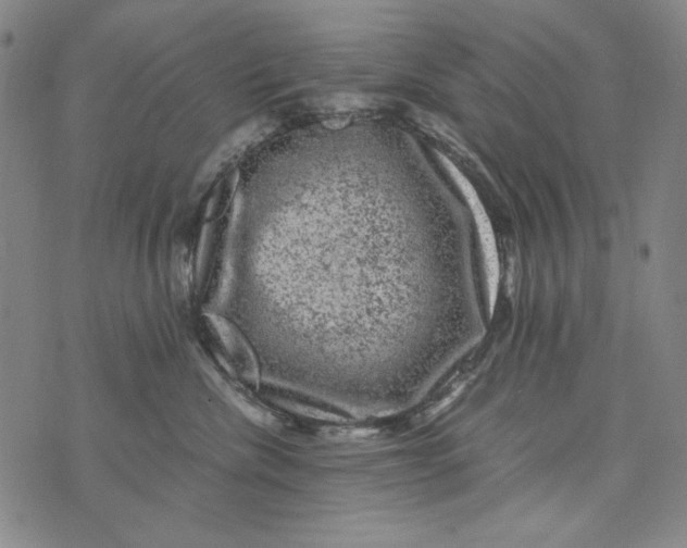 X0000075920476200610062212