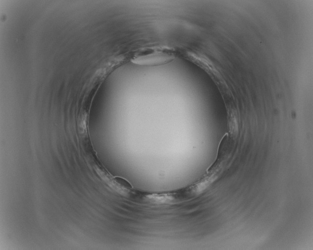 X0000075920477200610062212