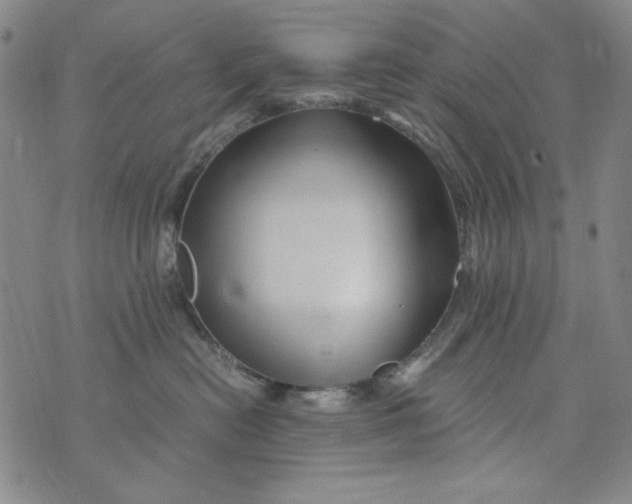 X0000075920478200610062212