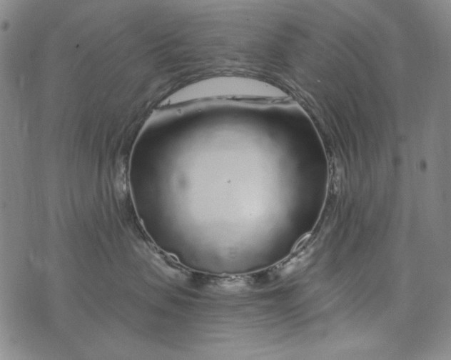 X0000075920479200610062212