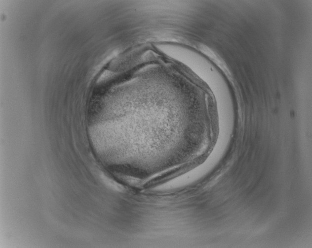 X0000075920481200610062211