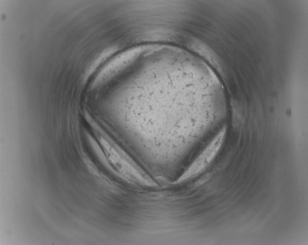 X0000075920482200610062211