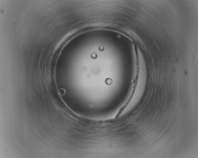 X0000075920484200610062211