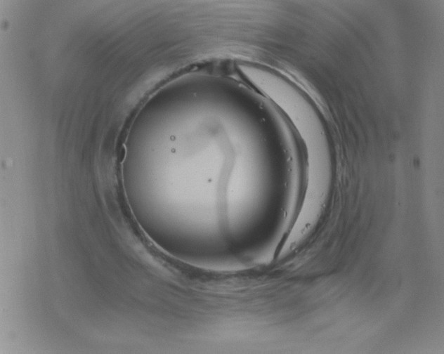 X0000075920485200610062211