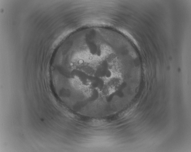 X0000075920487200610062211