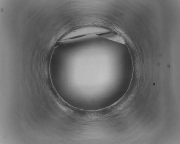 X0000075920489200610062211