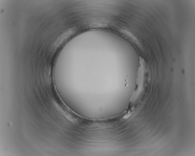 X0000075920490200610062211