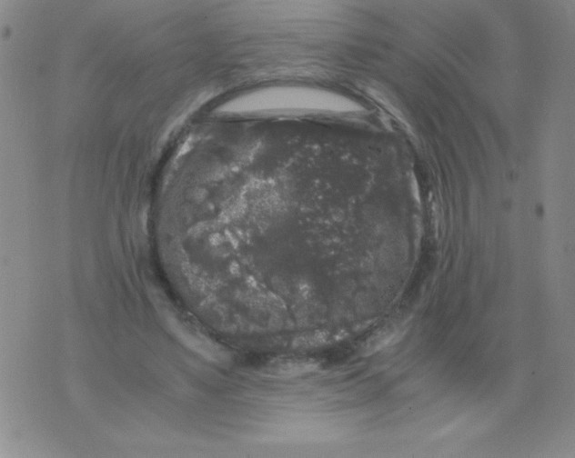 X0000075920491200610062211