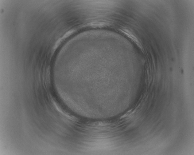 X0000075920492200610062211