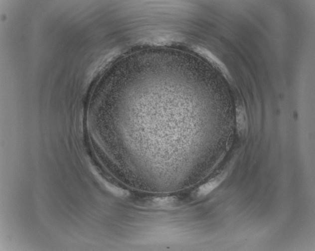 X0000075920493200610062211