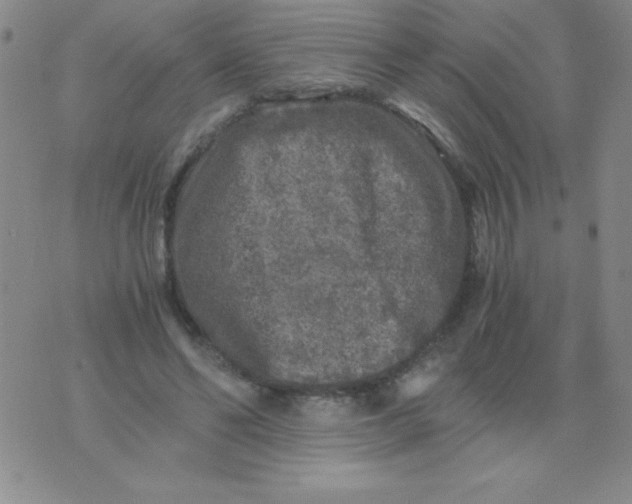 X0000075920494200610062211