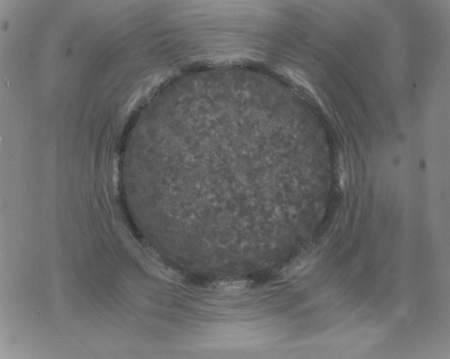 X0000075920495200610062211