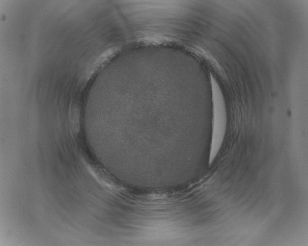 X0000075920496200610062211