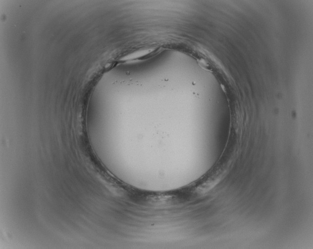 X0000075920497200610062211