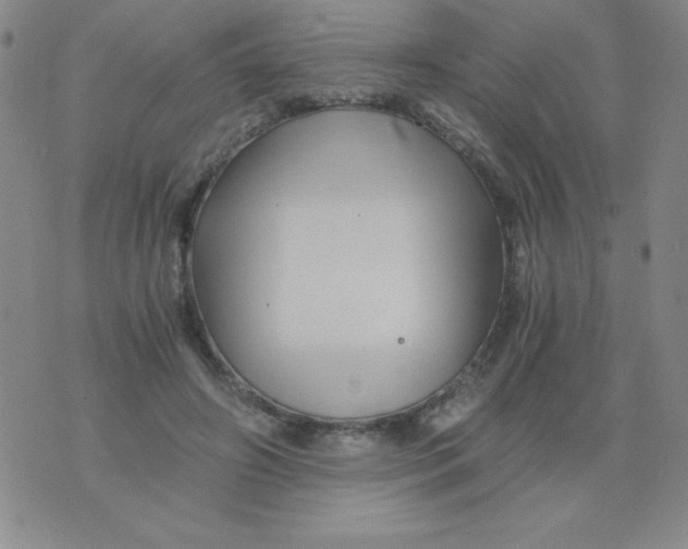 X0000075920498200610062211