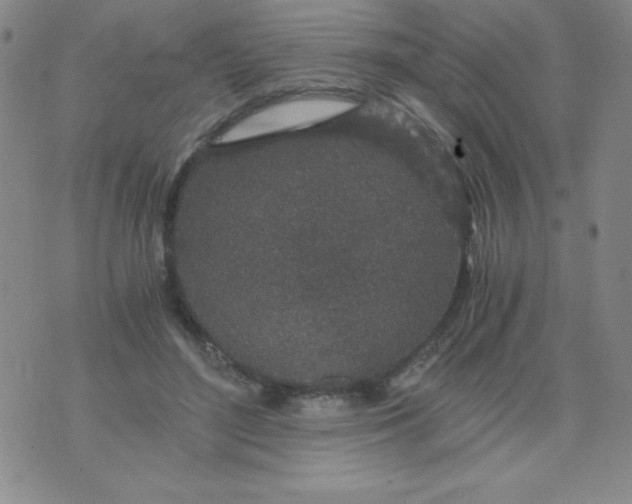 X0000075920500200610062211