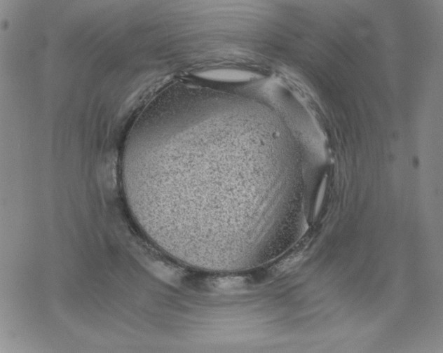 X0000075920501200610062211