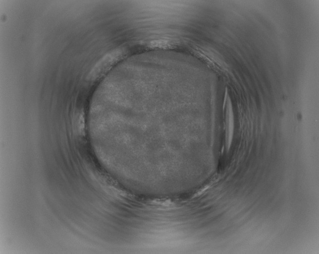 X0000075920502200610062211