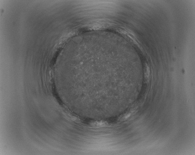 X0000075920503200610062211