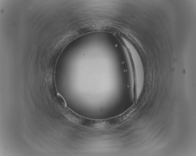 X0000075920505200610062211