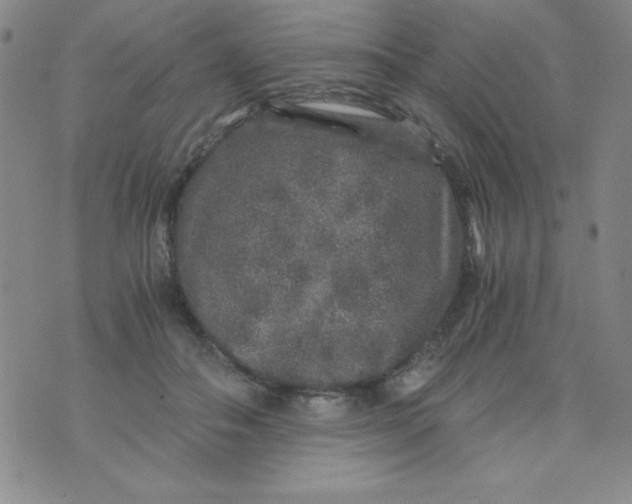 X0000075920506200610062211