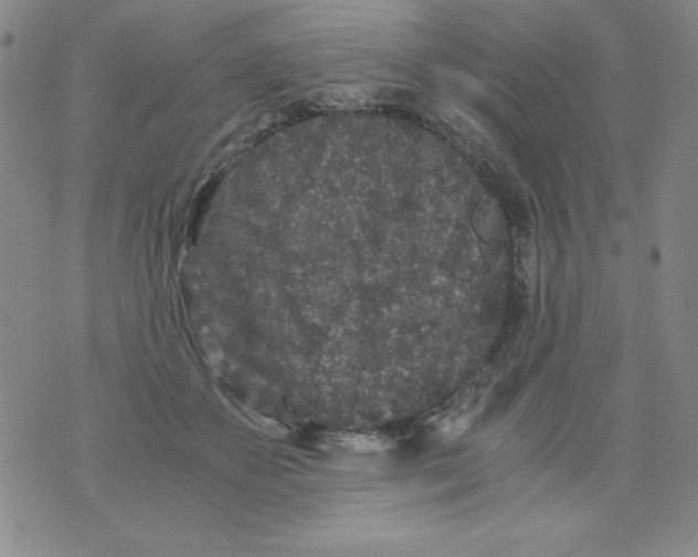 X0000075920507200610062211