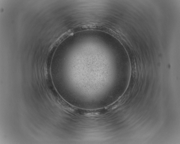 X0000075920508200610062211