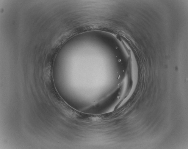 X0000075920509200610062211