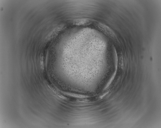 X0000075920510200610062211