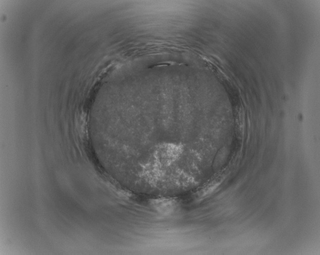 X0000075920511200610062211