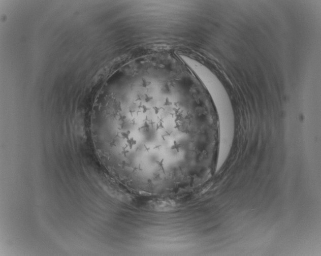 X0000075920512200610062211