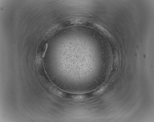 X0000075920513200610062211