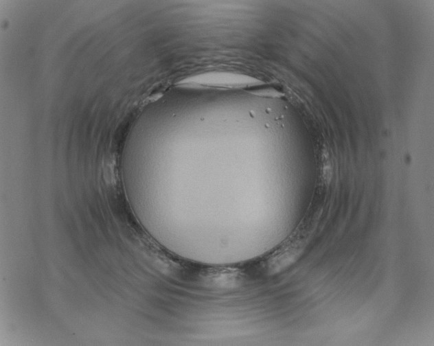 X0000075920514200610062211