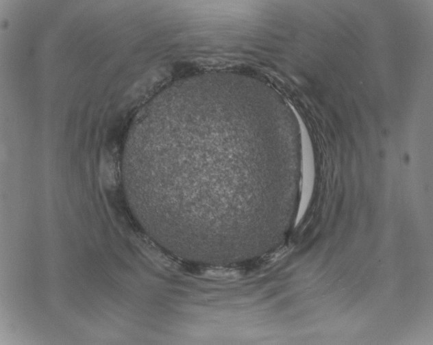 X0000075920515200610062211