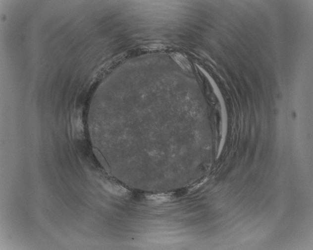 X0000075920516200610062211