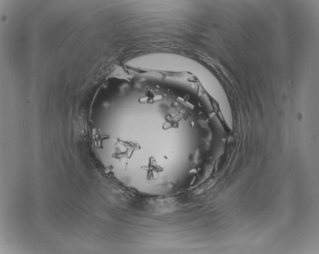 X0000075920517200610062211