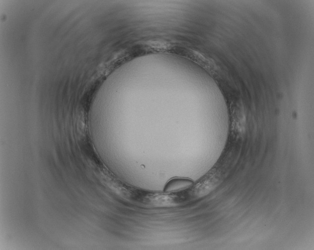 X0000075920518200610062211