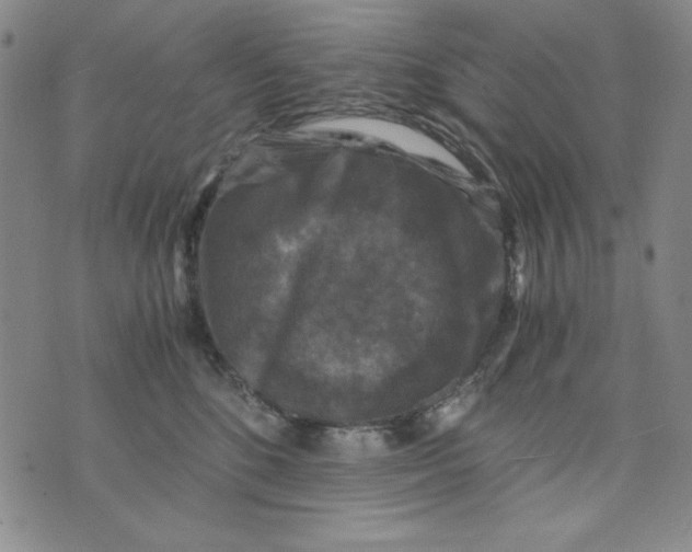 X0000075920520200610062211