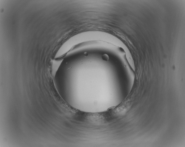 X0000075920521200610062211