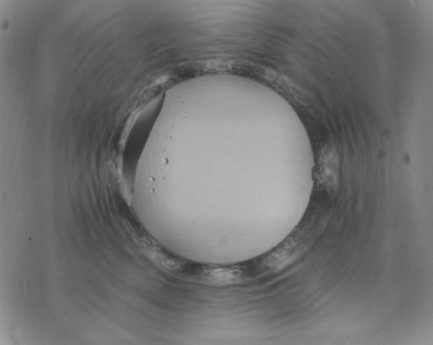 X0000075920522200610062211