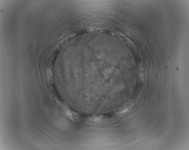 X0000075920523200610062211