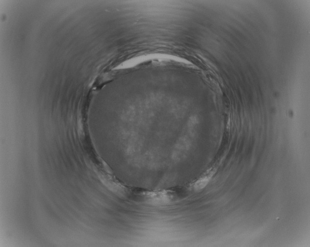 X0000075920524200610062211