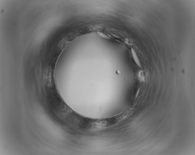 X0000075920525200610062211