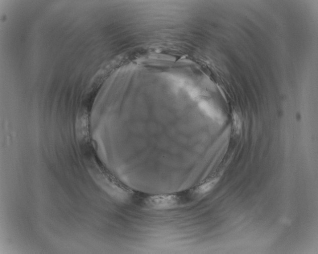 X0000075920526200610062211