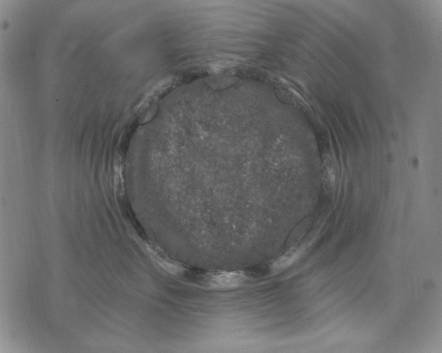 X0000075920527200610062211