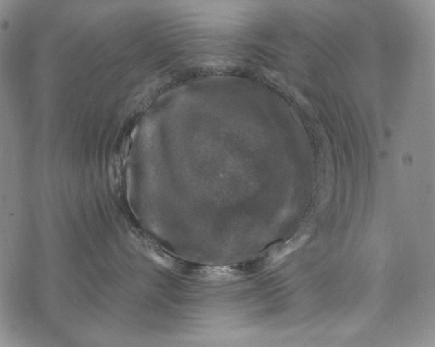 X0000075920528200610062211