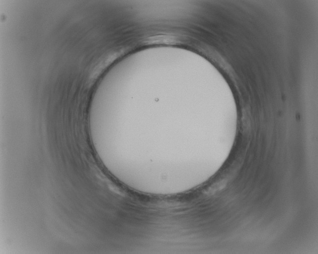 X0000075920529200610062210