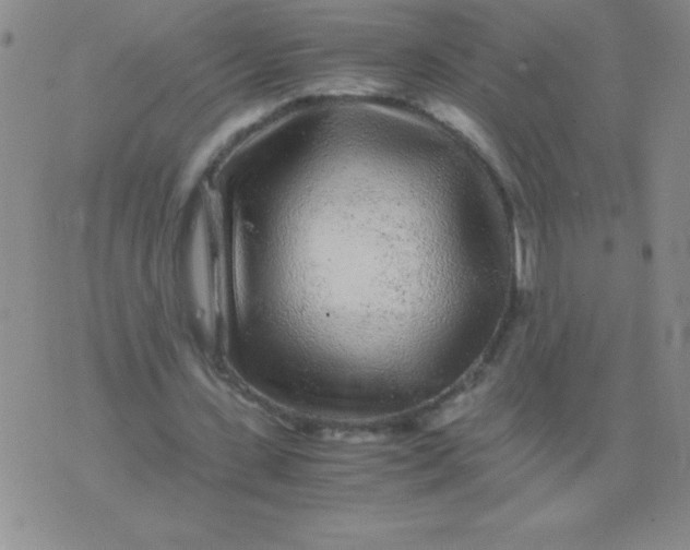 X0000075920531200610062210