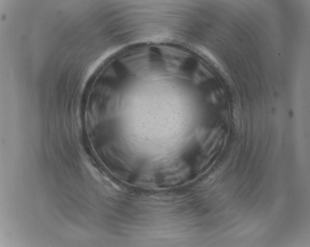 X0000075920532200610062210