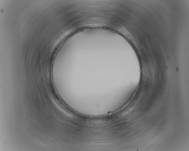 X0000075920533200610062210